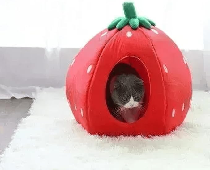 YML Strawberry Pet Bed House, Small, Red (FH016_1)