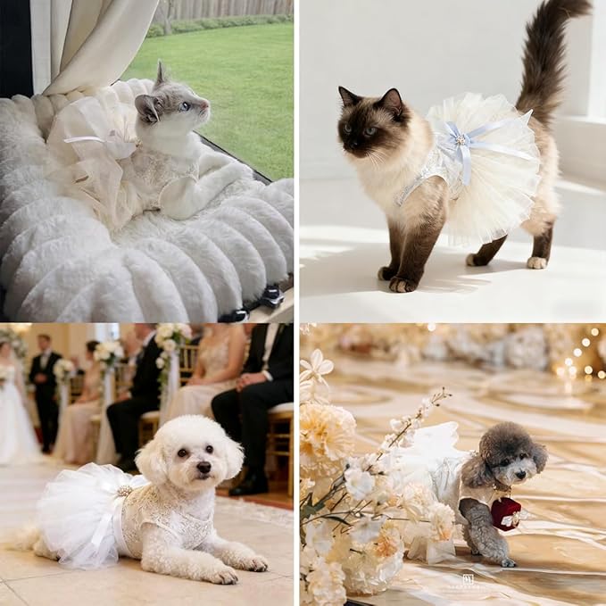 Princess Dog Wedding Dress - Embroidered Gown with Fluffy Tutu Skirt & Leash D-Ring, Formal Party Outfit for Small Dogs & Cats Like Chihuahua Yorkie (White Bow-Princess, X-Large)