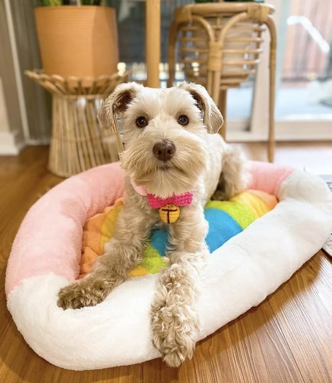 TONBO Soft Plush Small Cute and Cozy Nature Dog Cat Bed, Washer and Dryer Friendly (Rainbow)
