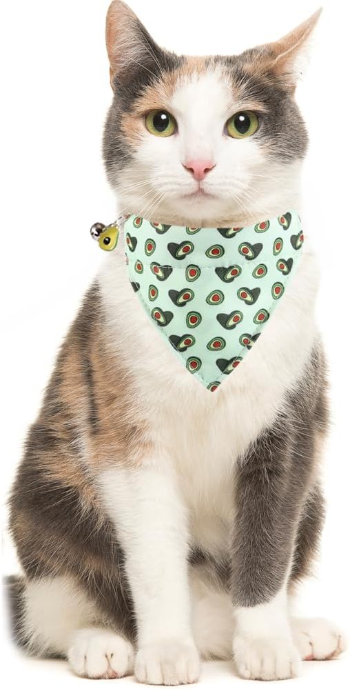 Cat Collar Breakaway with Cute Bandana and Bell Fruits Accessories for Kitty Adjustable Safety