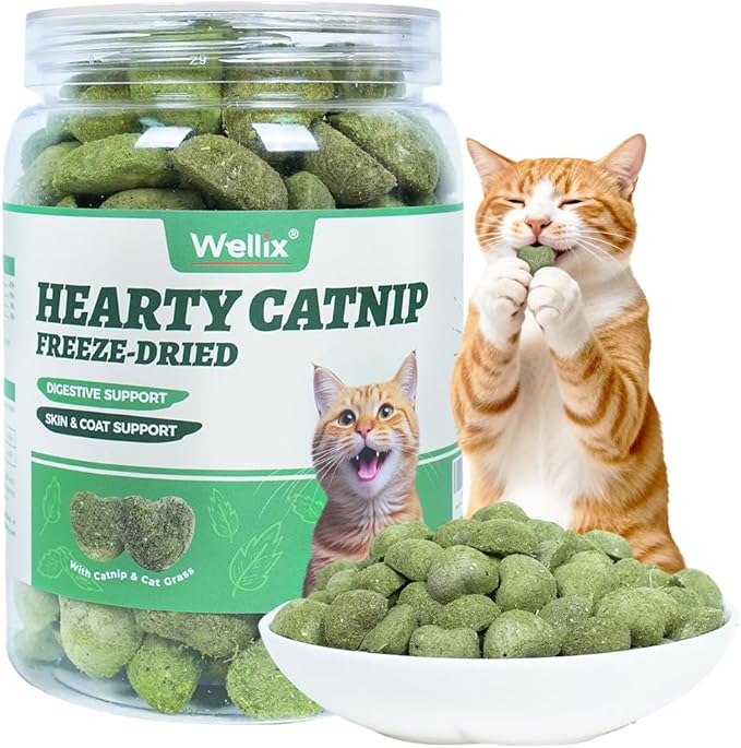 Wellix Catnip Treats Freeze-Dried Cat Treats, Grain-Free Snacks with Chicken, Cat Grass & Catnip for Cats Digestive Support Healthy Skin&Coat, Healthy Feline Training Treats for Indoor Cats, 3oz
