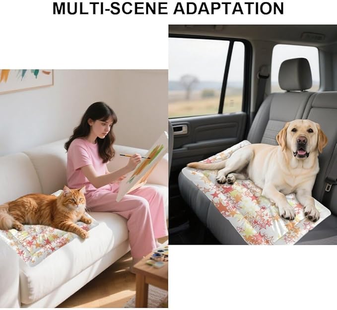 Celestial Pattern Dog Crate Pads Washable Dog Bed Mat Mat for Sofa Reusable Bed Non- Slip Bottom Furniture for Dogs Multi- Scenario Car Gift Printed Cat Pads 36× 24 Inch