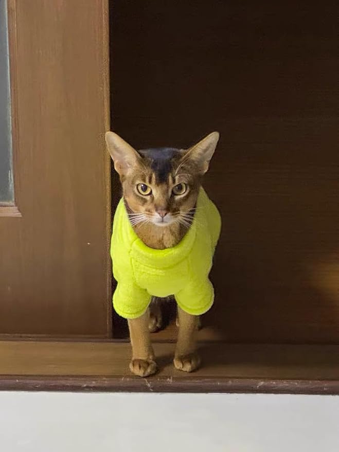 Sphynx Cat Clothes Winter Turtleneck Soft Coral Fleece Cat Clothes Thicken Warm Pajamas Coat for Hairless Cats and Small Cat Apparel with Sleeves (Fluorescent Green, M（3.8-6lbs）)