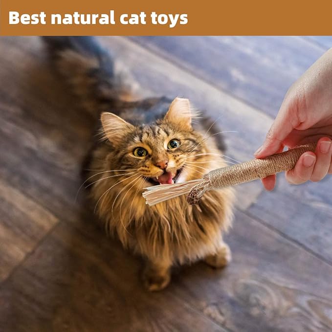 4 Pack Natural Silvervine Sticks for Cats - Chew Toys for Kittens Teeth Cleaning, Catnip Toy, Teething Stick - Interactive Kitten Toys for Indoor Cats Dental Care