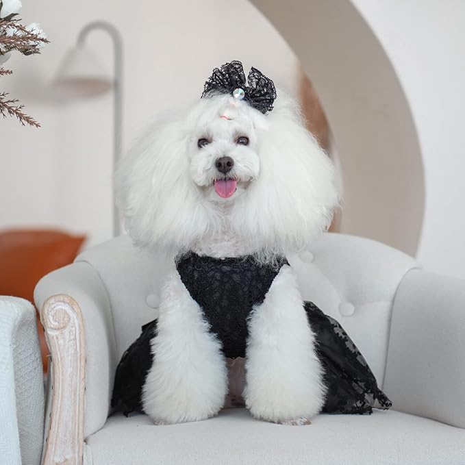 CuteBone Dog Birthday Dress Girl Puppy Skirt Tutu Cat Wedding Outfit Pet Party Clothes for Small Dogs Costume DD15M