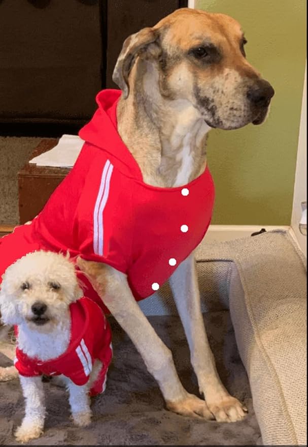 Cute Dog Hoodie Tracksuit Sweater Coat Jacket Winter Pajamas Clothes Clothing Jumpsuit 4-Legs Red for Cat Puppy Small Medium Big All Type Dogs (Medium)