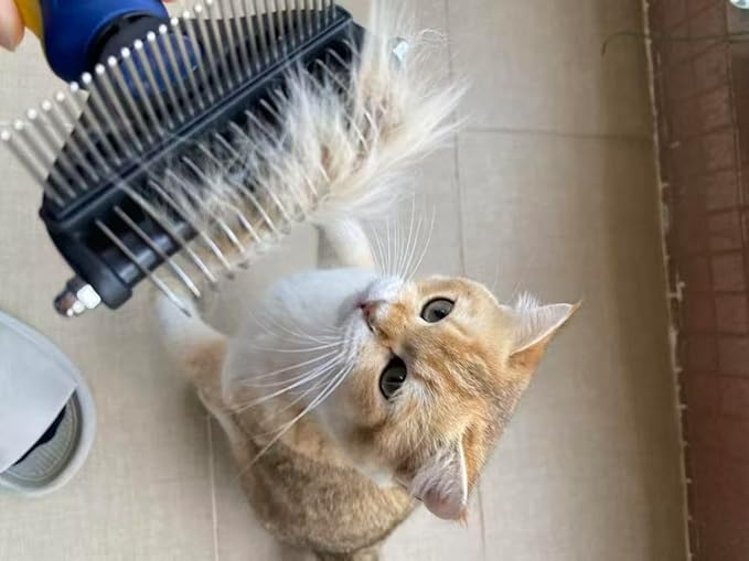 2-in-1 Cat Brush for Shedding - Double-Sided Undercoat Rake for Long Haired Cats - Professional Dematting Tool for Dense Double-Coats - Gentle Deshedding Brush for Kittens, Blue