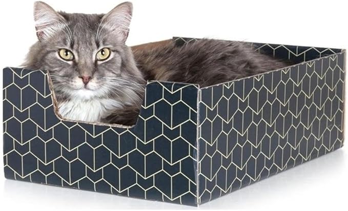 BOWERY HILL Premium Corrugated Cardboard Cat Box, Peek-a-Boo Cutout Design, Durable Blue Finish, Cozy and Interactive Lounger, Stylish Pet Accessory for Indoor Cats