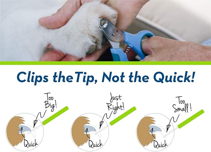 Zen Clipper Pet Nail Clipper for Dogs – Dog Nail Clipper for Safer Dog Grooming and Nail Care - Clean, Quiet, and Easy-to-Use Stainless Steel Dog Nail Trimmer - (4mm Hole)