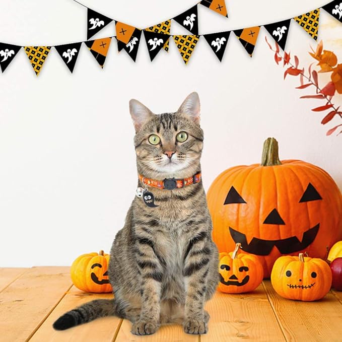 EXPAWLORER Halloween Cat Collar Breakaway - Glow in The Dark Holiday Pet Kitten Collar with Bell and Cute Ghost Pendant, Ideal Gift Adjustable Safety Collars for Cats, 2 Pack