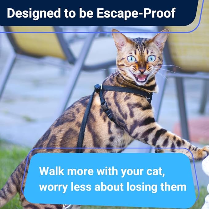 Cat Harness and Long Leash (14FT) - Escape Proof, Choke Free, Lightweight OutdoorBengal - Vest + Black Lead for Walking Cats (M)