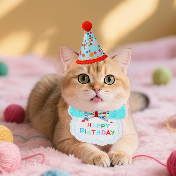 Cat Birthday Party Supplies, Girl Boy Cat Kitten Birthday Bandana Hat Numbers Decorations Outfits Set, Lightblue