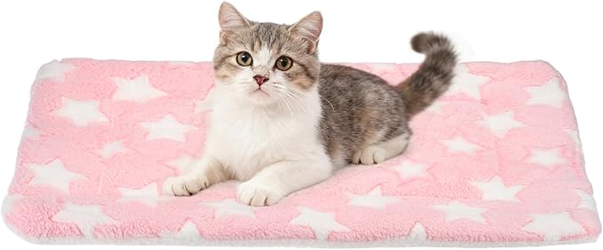Dog Cat Bed Mat, Soft Coral Fleece Pet Cushion Pad with Cute Stars Print, Warm Washable Pet Bed 21x14 Inches, (Pink), Intended for Medium Small Dog Cat