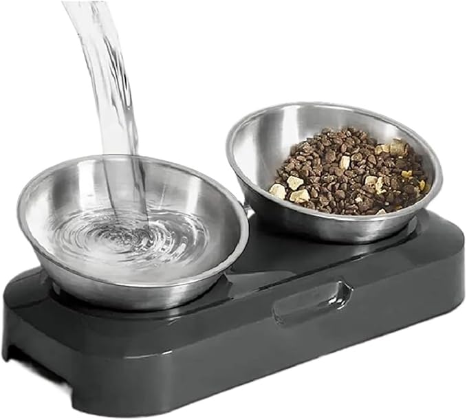 Cat Bowl Set with Stand, Stainless Steel Raised Feeder for Food and Water, Pet Bowls for Cats