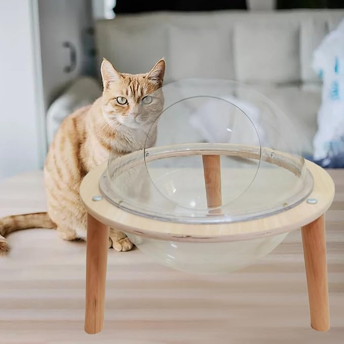 Space Capsule Cat Bed Indoor Cat Hammock Condo House Transparent Acrylic Sphere 11.81inch Small Pet Furniture