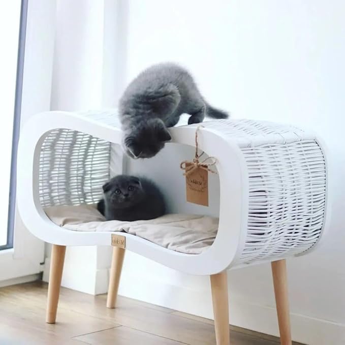 Wiklibox Wicker Cat Bed with Mattress - Infinity on Legs Design - Comfortable & Cozy Natural Bed for Cats - Indoor Kitten House with Thick & Durable Plywood - Handcrafted 100% Polish Pet Furniture