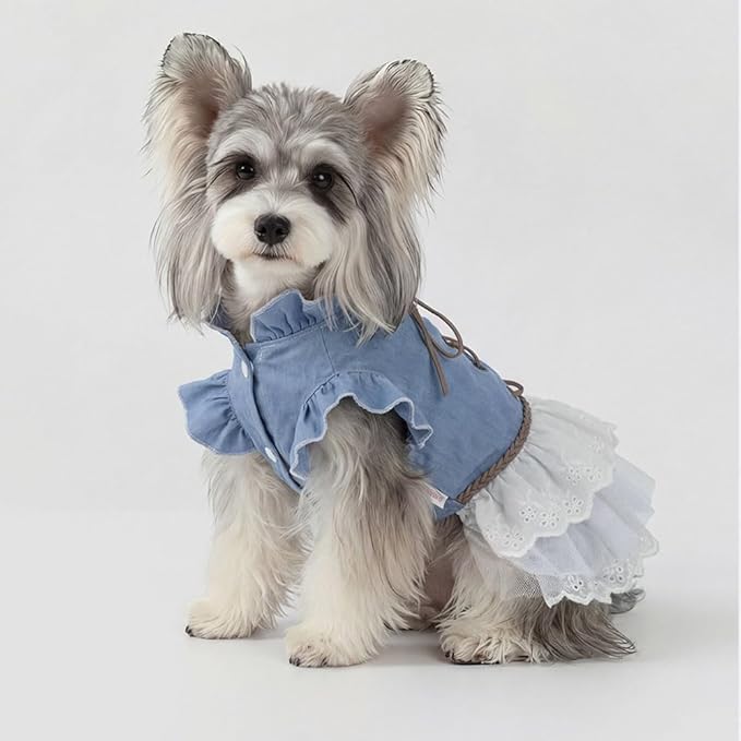 Dog Denim Dress for Small Dogs and Cats, Flared Sleeves Retro Cake Skirt Puppy Clothes, Elegant Pet Apparel for Daily Wear, Parties, Photo Shoots (Blue-Denim, Small)