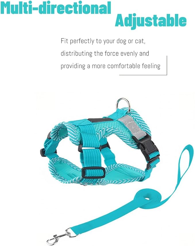 Cat Harness and Leash Escape Proof Harness for Kitten Puppy Adjustable Breathable Cats Dog Easy Walk Seatbelt Small, Blue