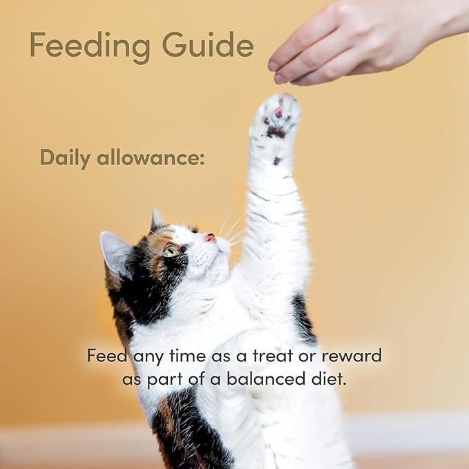 Aurora Pet Variety Pack (10) Applaws Loin Grain-Free Cat Treats (1.06-oz Each) with AuroraPet Wipes