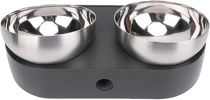 Focket Elevated Cat Bowls, Tilted Anti Vomiting Raised Cat Food and Water Bowls with Stainless Steel for Small Cats Puppies
