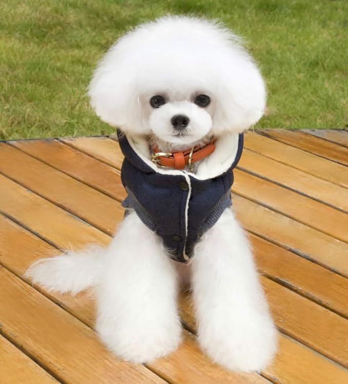 Dog Coat Rdc Pet Hoodie Cold Weather Coats Warm Dog Apparel Winter Thick Clothes Dog Cozy Jacket for Small Dog Medium Cat (XL, Blue)