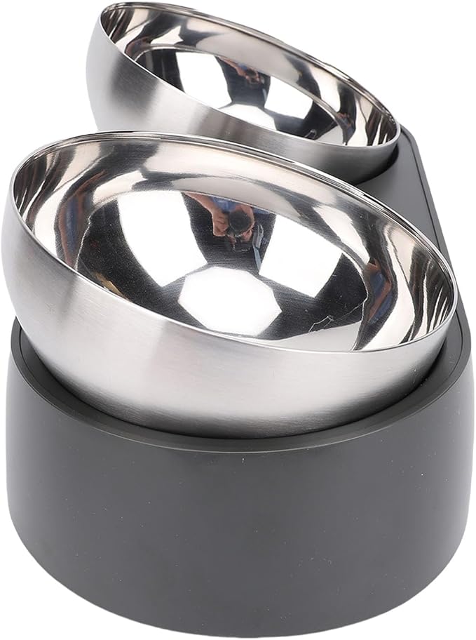 Focket Elevated Cat Bowls, Tilted Anti Vomiting Raised Cat Food and Water Bowls with Stainless Steel for Small Cats Puppies