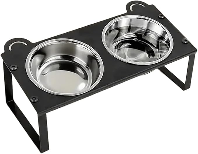 Cat Feeder Elevated Bowls 2 Stainless Steel for Indoor Pet