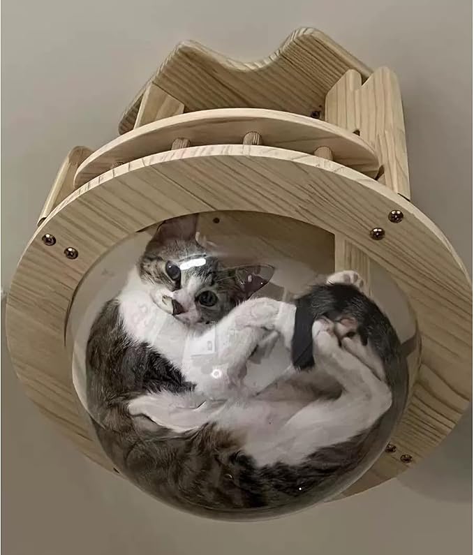 Wall Cat Shelves, Wood Cat Wall Furniture, Wall Shelves for Cats, Ceiling Cat Wall Shelves, with 1 Aerial Cat Bed and 1 Aerial Plank Road