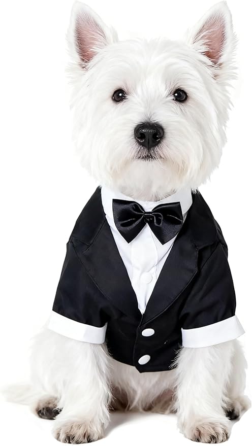 GabeFish Pets Wedding Jackets Suit for Dogs with Bow Tie Puppy Cat Formal Clothes Shirt Tuxedo (Black, L (Chest 17.3in/44cm)