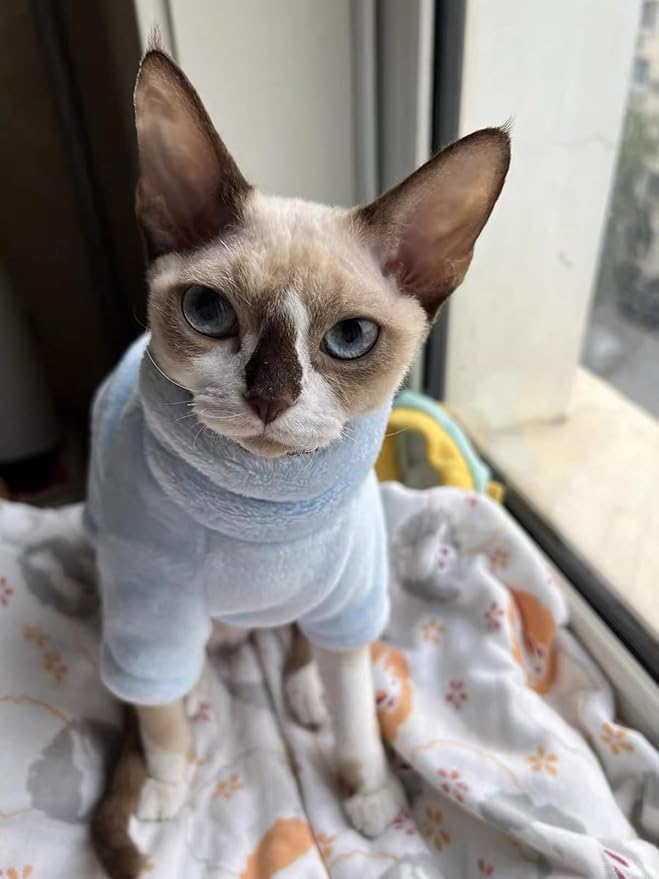 Sphynx Cat Clothes Winter Turtleneck Soft Coral Fleece Cat Clothes Thicken Warm Pajamas Coat for Hairless Cats and Small Cat Apparel with Sleeves (Light Blue, L (6-9.3lbs)