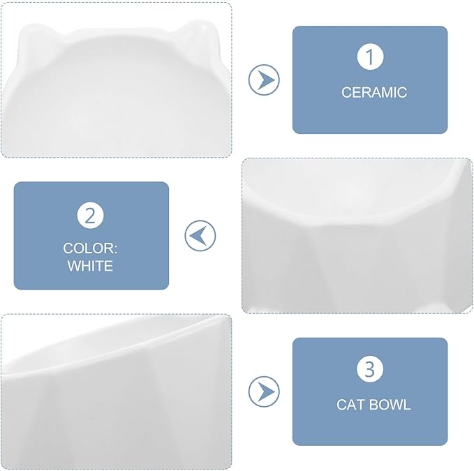LALAFINA Raised Ceramic Cat Bowl Elevated Pet Feeding Dish Anti-Spill White Single Bowl for Cats and Small Dogs