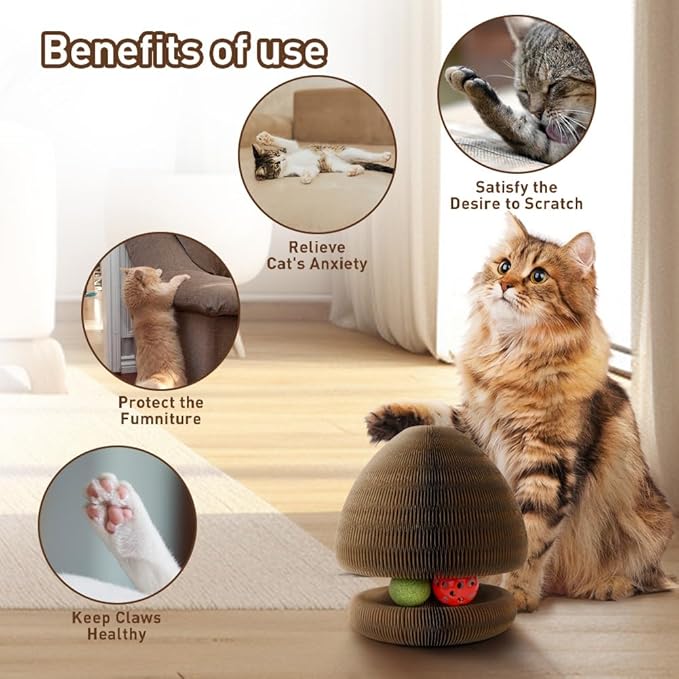 Cat Toys, Magic Organ Scratching Board, Reversible Interactive Cat Toys Scratching, Cardboard,Kitten Scratcher Pads with Catnip Ball(1PC)