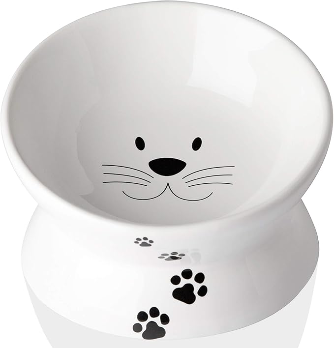 Cat Food Bowls, 10 OZ Elevated Cat Bowls for Cats and Small Dogs, Tilted Pet Feeder Bowl with Raised Stand Protect Cat's Spine, Ceramic Cat Water Bowl No-Spill, Stress Free Cat Dish 1pcs