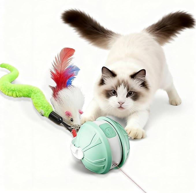 Interactive Cat Toy Ball for Indoor Cats, 2-in-1 Smart Moving Cat Ball with Feather Accessories, Automatic Kitten Toys for Bored Indoor Cats, USB Rechargeable Ideal for Small and Medium Cats