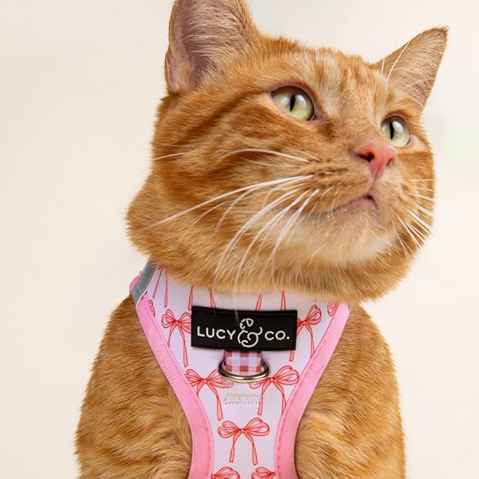Lucy & Co. Take a Bow Step-in Cat Harness & Leash Bundle for Cats, Kittens & Small Dogs Reflective, Breathable & Adjustable, Lightweight & Secure with Dual Leash Clips Small, Neoprene & Mesh