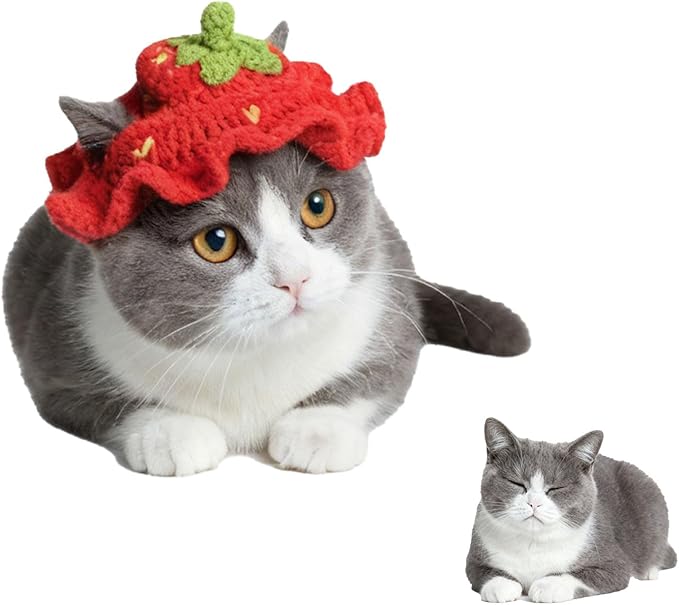 Cat Party Hat for Cats (7 Styles | Strawberry) – Cute Holiday & Photo Outfit with Ear Holes and Adjustable Tie – Soft & Washable Cat Costume for Parties