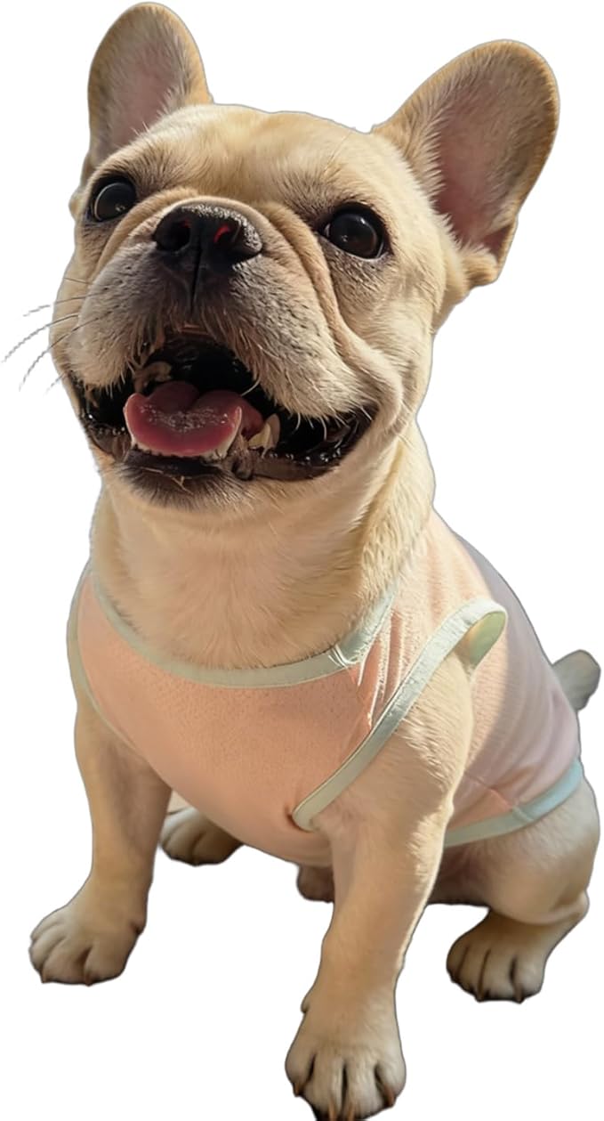 2Pcs Cooling Shirts for Small Dogs, Sleeveless Dog Vest, Lightweight Breathable Dog Summer Tank Top Sun Protection Shirts for Dogs Cats Pet Apparel (MintGreen Pink, Large Size for 8.5-12lb Pets)