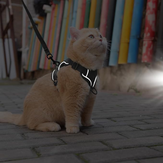 Skmeditec Cat Harness and Leash Set: Upgraded Escape Proof Vest with Lead for Large Cat Small Dog Puppy Walking, Soft Jacket Reflective Strips, Black, S