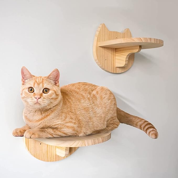 SHENGOCASE Macrame Cat Hammock with Wall Hook and 3 Steps, Wall Mounted Hanging Bed, Indoor Cat Furniture