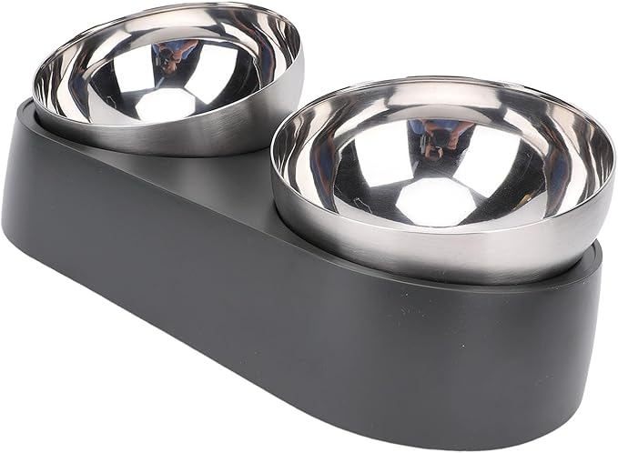 Focket Elevated Cat Bowls, Tilted Anti Vomiting Raised Cat Food and Water Bowls with Stainless Steel for Small Cats Puppies