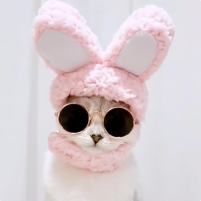 Qiansail Lion Mane Wig for Cats, Funny Bunny Ears Cute Dog Hats Cat Apparel Costume Pet Clothing Accessories for Halloween Cosplay Party