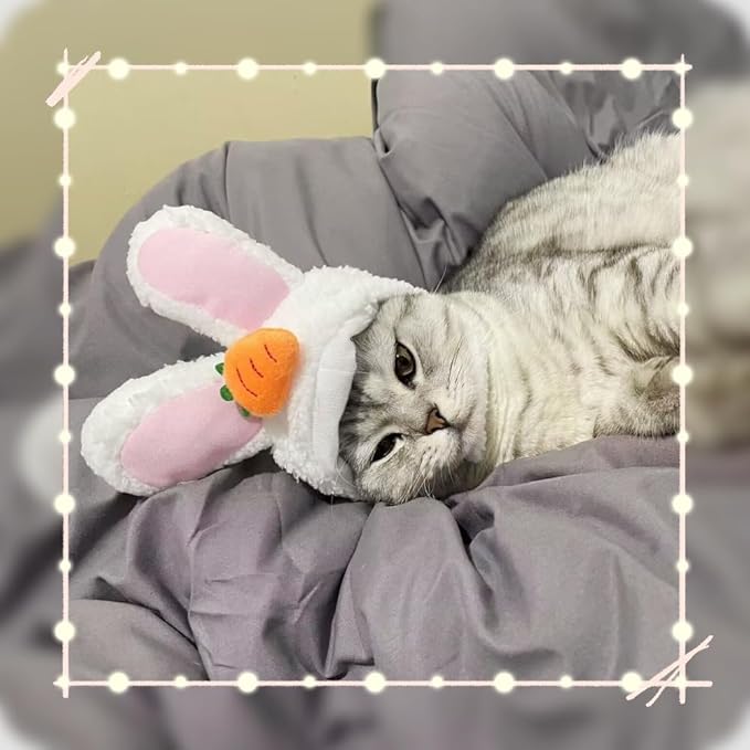 5 Pieces Cat Hat Adorable Cat Costume Outfit Bunny Hat with Ears Funny Mane Hat for Cats and Small Dogs Kitten Puppy Party Costume Accessory Headwear (Frog-Flower-Rabbit-Lion-Chick)