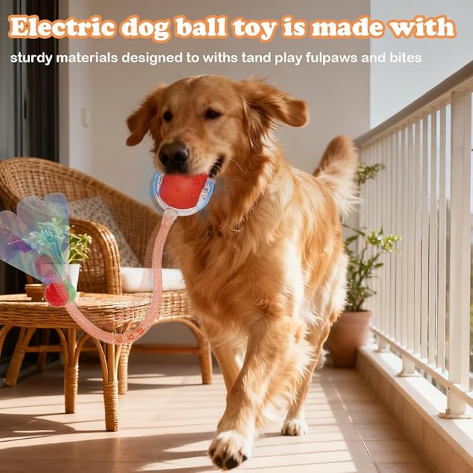 2Packs Interactive Cat Toys Ball for Indoor Cats, Smart Automatic Cat Chase Ball Toy, Generation Moving Cat Ball with Elastic Mesh Tail Motion Activated
