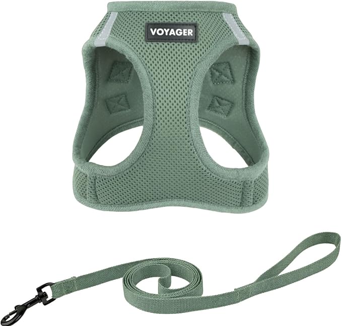 Voyager Step-in Pet Harness - All Weather Mesh, Adjustable Step in Harness for Cats and Dogs by Best Pet Supplies - 307 Set Moss Green, XS