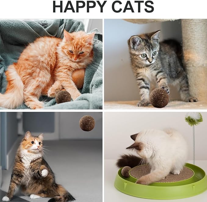 Natural Catnip Toys for Indoor Cats Interactive Cat Nip Balls, 5Pcs, 2 Catnip, 2 Silvervine, and 1 Gall Fruit Ball