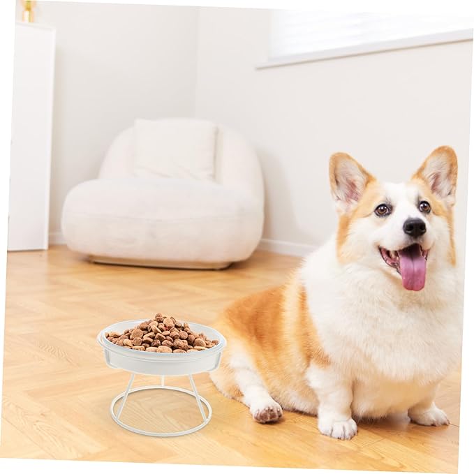 Raised Cat Bowl Food Feeding Station Slow Eating Ceramic Cat Dish with Elevated Stand Pet Feeder for Small and Kittens