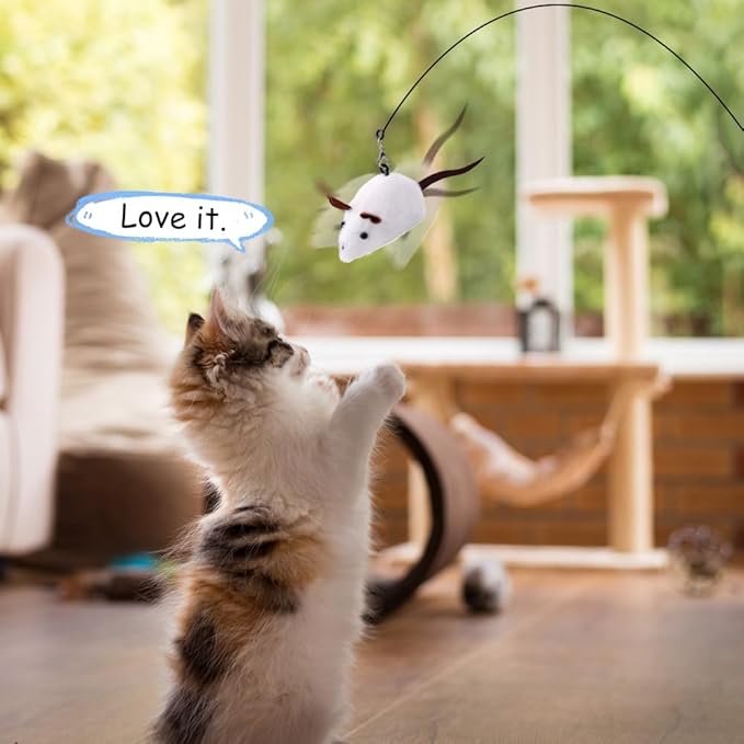PAZ'S GIFT Cat Wand Toy, Mouse 2-piece Catnip wzggle Sound Toy, Soft and Durable, Interactive cat kick for Indoor Games