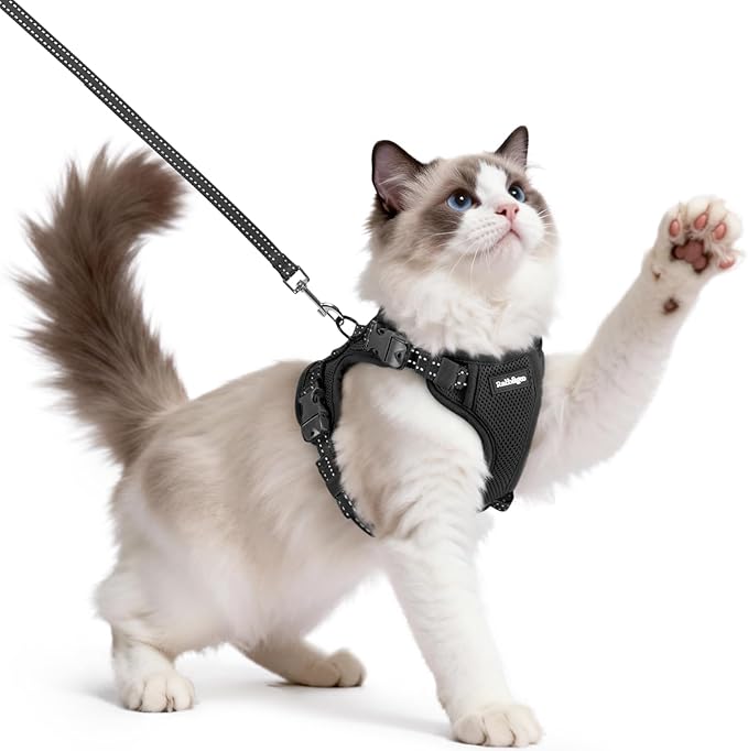 rabbitgoo Cat Harness and Leash, Escape Proof Vest with 3 Adjustable Buckles, Soft Comfortable Kitten Harness, Easy to Wear, Reflective for Safe Outdoor Walking, Medium, Black
