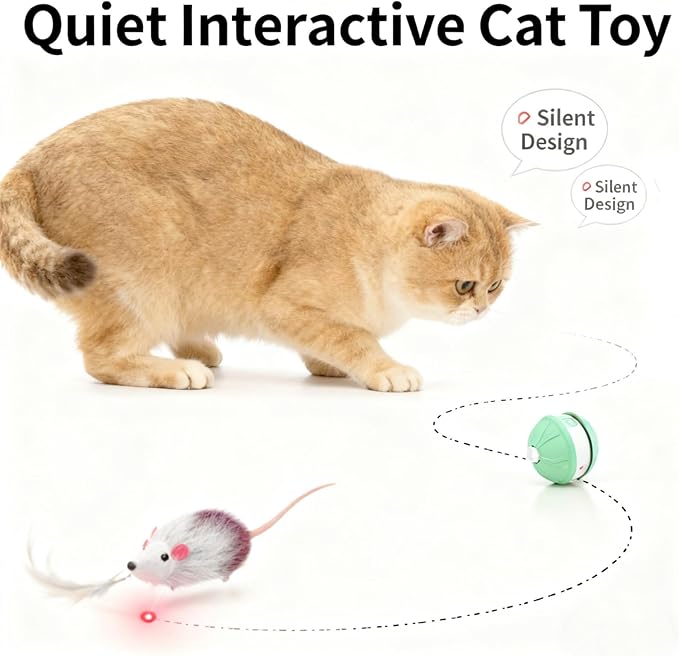 Interactive Cat Toy Ball for Indoor Cats, 2-in-1 Smart Moving Cat Ball with Feather Accessories, Automatic Kitten Toys for Bored Indoor Cats, USB Rechargeable Ideal for Small and Medium Cats