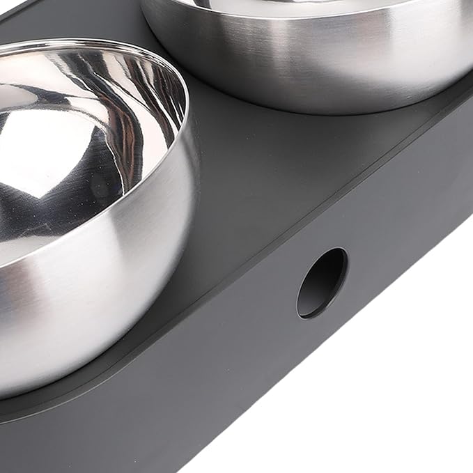 Focket Elevated Cat Bowls, Tilted Anti Vomiting Raised Cat Food and Water Bowls with Stainless Steel for Small Cats Puppies